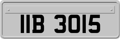 IIB3015
