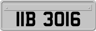 IIB3016