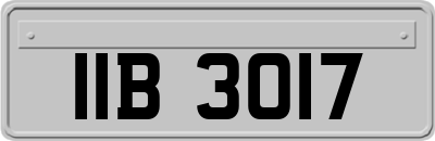 IIB3017