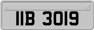 IIB3019