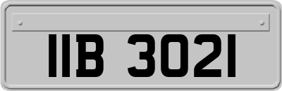 IIB3021