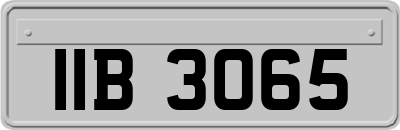 IIB3065