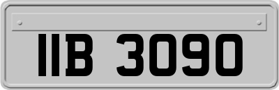 IIB3090