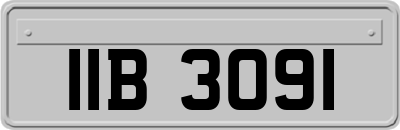 IIB3091
