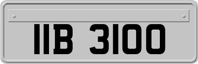 IIB3100