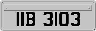 IIB3103
