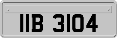 IIB3104