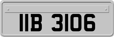 IIB3106