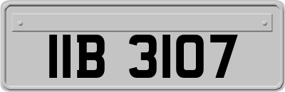 IIB3107