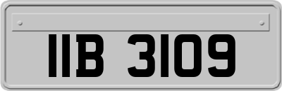 IIB3109