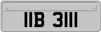 IIB3111