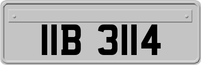 IIB3114