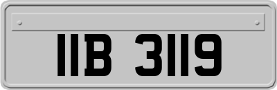 IIB3119