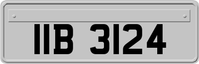 IIB3124