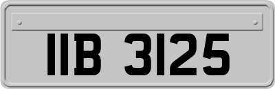 IIB3125