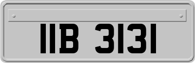 IIB3131