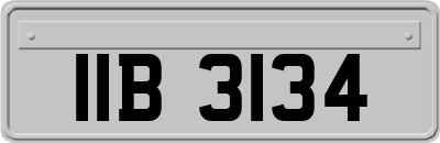 IIB3134