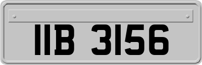 IIB3156