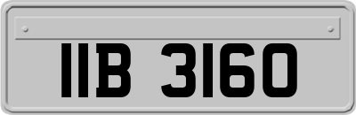 IIB3160