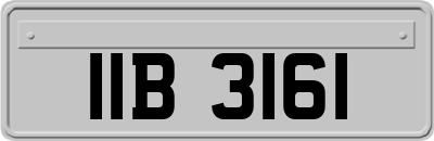 IIB3161