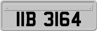 IIB3164