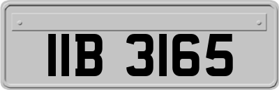 IIB3165