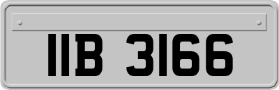 IIB3166