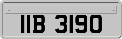 IIB3190