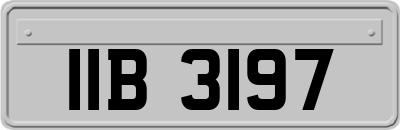 IIB3197