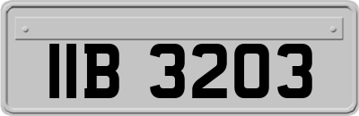 IIB3203