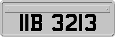 IIB3213
