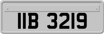 IIB3219