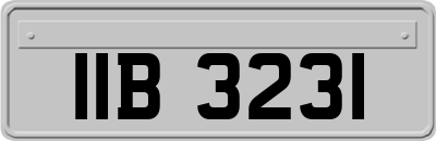 IIB3231