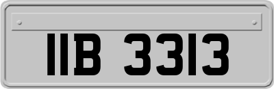 IIB3313