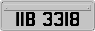 IIB3318