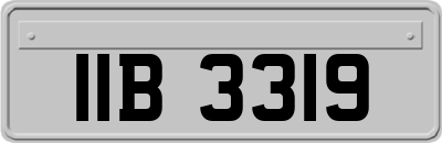 IIB3319