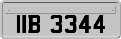 IIB3344