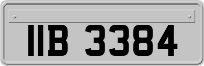 IIB3384