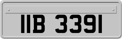 IIB3391