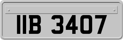 IIB3407