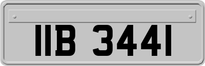 IIB3441