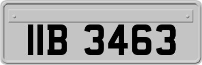 IIB3463