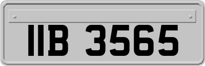 IIB3565
