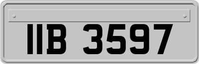 IIB3597
