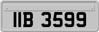 IIB3599