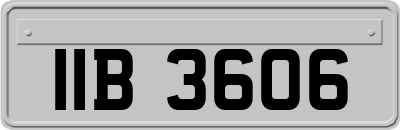 IIB3606
