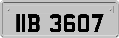 IIB3607