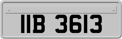 IIB3613