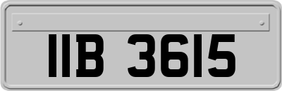 IIB3615