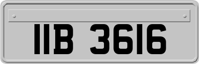 IIB3616